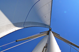 Day 10: Setting Sail with Professional Logistics International SA